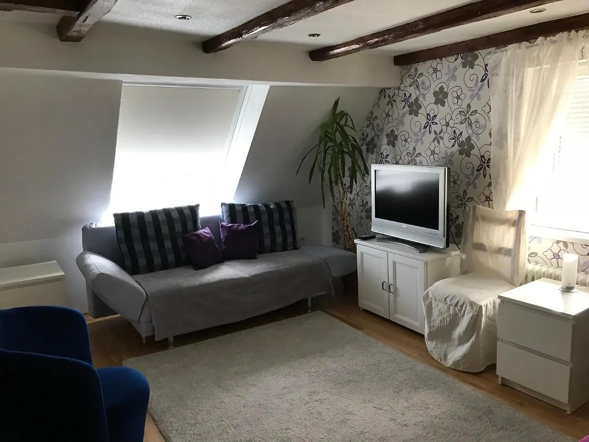 公寓 Ferienwohnung Romantica 1. Und 2. Og Schopfloch  德国